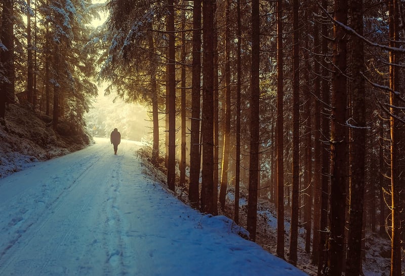 Guided Walk in Nature